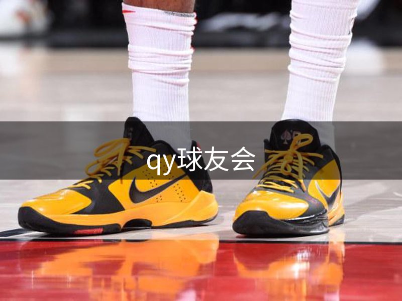 qy球友会介绍